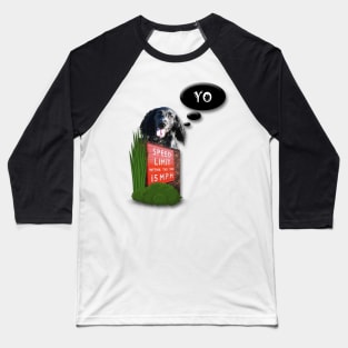 Funny black working cocker spaniel dog zoomies Baseball T-Shirt